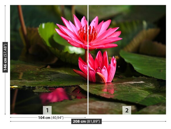 Fototapet Lotos Pond