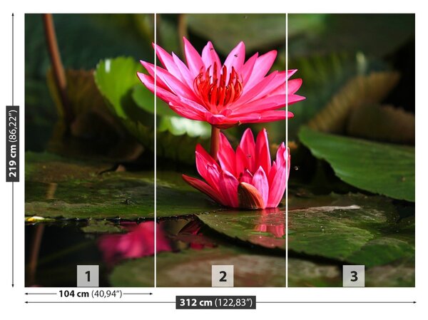Fototapet Lotos Pond