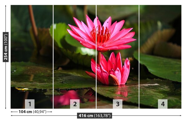 Fototapet Lotos Pond