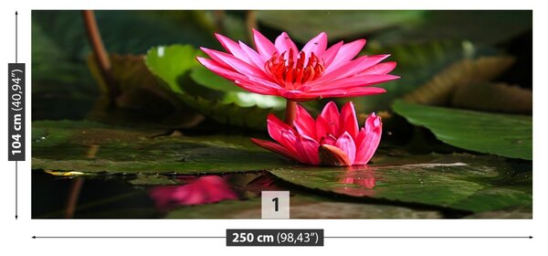 Fototapet Lotos Pond