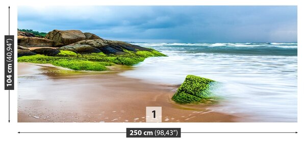 Fototapet Plaja nisipoasa