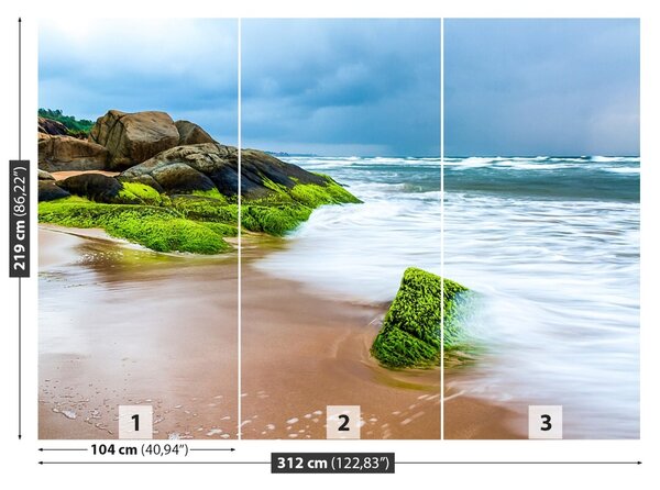 Fototapet Plaja nisipoasa