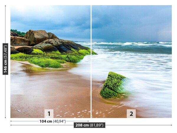 Fototapet Plaja nisipoasa