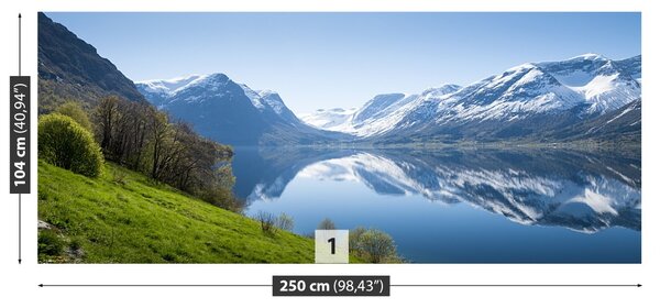 Fototapet Fjord In Norvegia