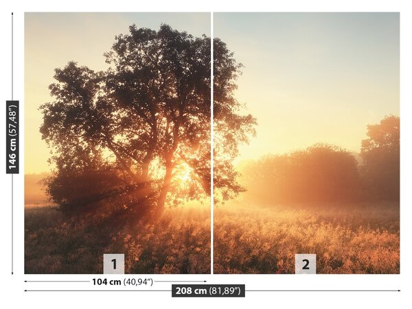 Fototapet Sun copac