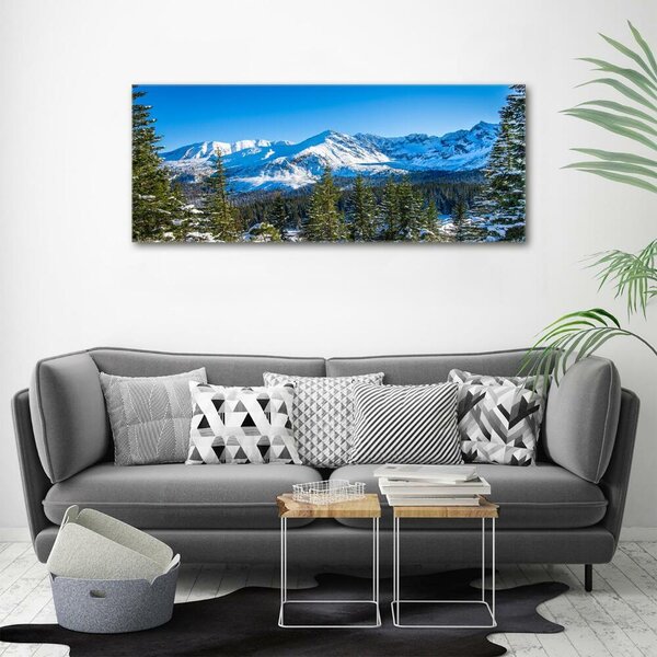 Fotografie imprimată pe sticlă panorama Tatra