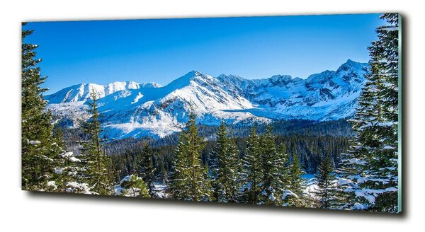 Fotografie imprimată pe sticlă panorama Tatra