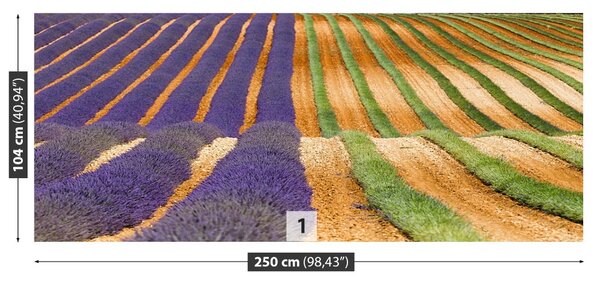 Fototapet Provence Franța