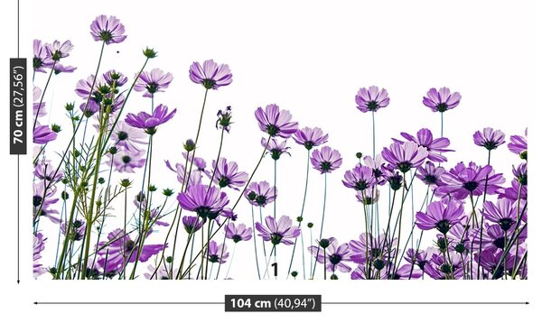 Fototapet Cosmos Flori