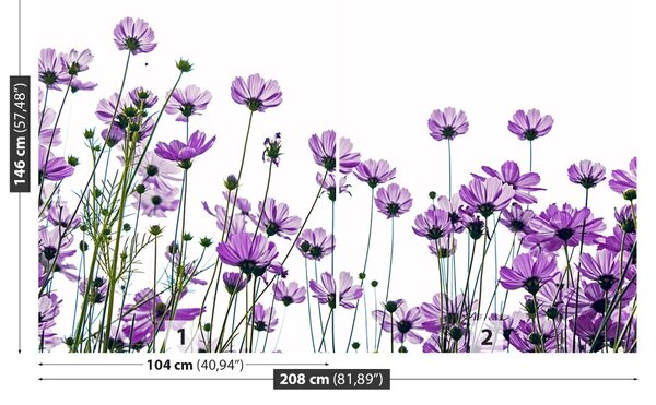 Fototapet Cosmos Flori
