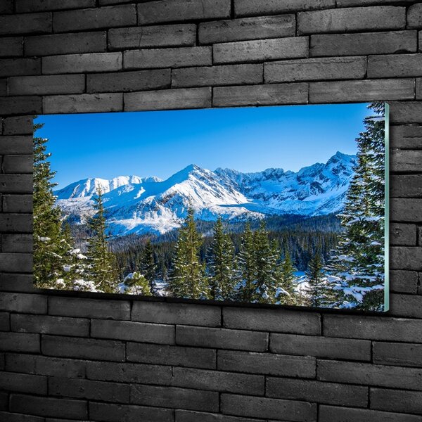 Fotografie imprimată pe sticlă panorama Tatra