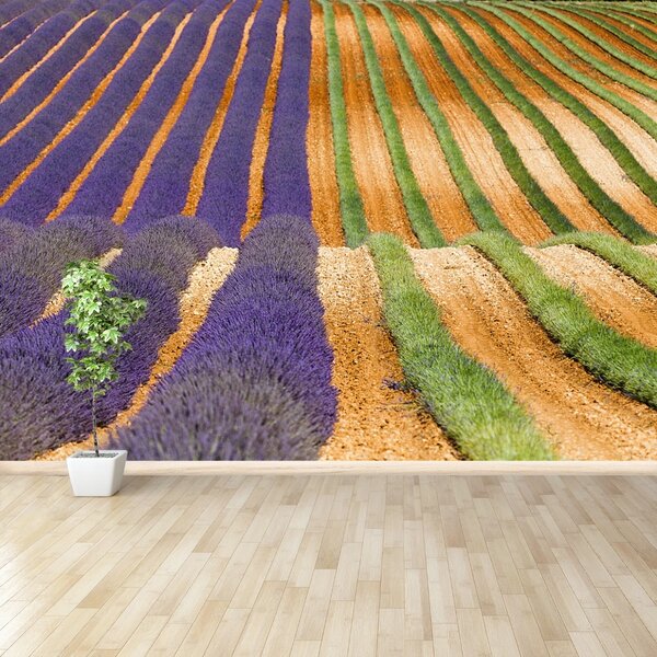 Fototapet Provence Franța