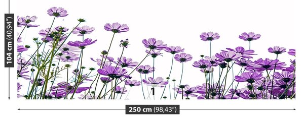 Fototapet Cosmos Flori