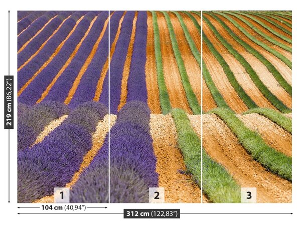 Fototapet Provence Franța
