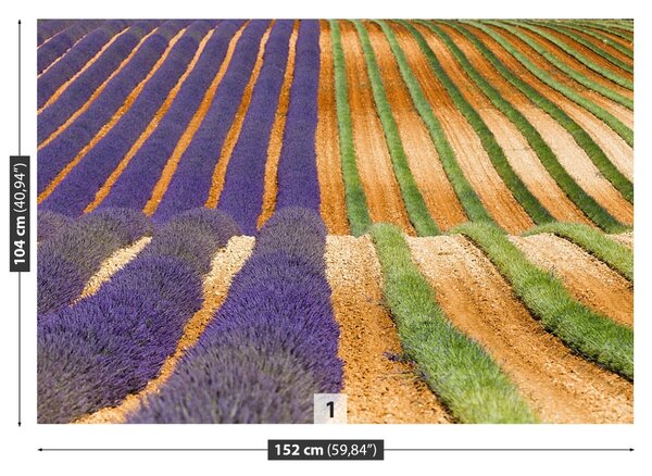 Fototapet Provence Franța