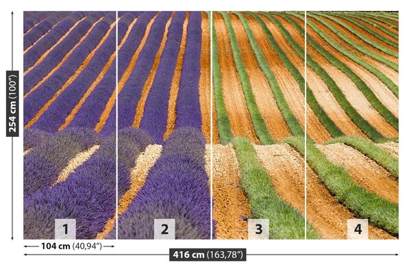 Fototapet Provence Franța