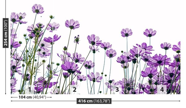 Fototapet Cosmos Flori