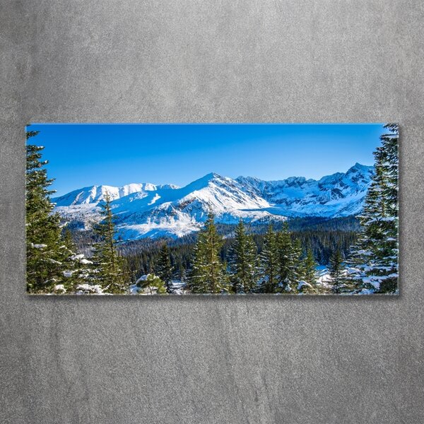 Fotografie imprimată pe sticlă panorama Tatra