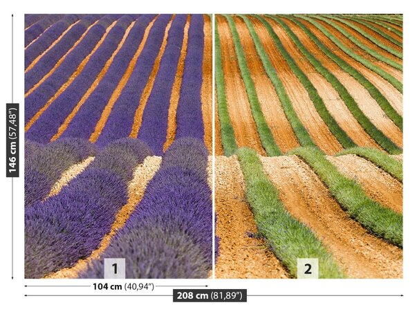 Fototapet Provence Franța