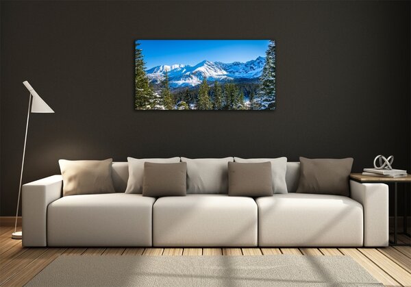 Fotografie imprimată pe sticlă panorama Tatra