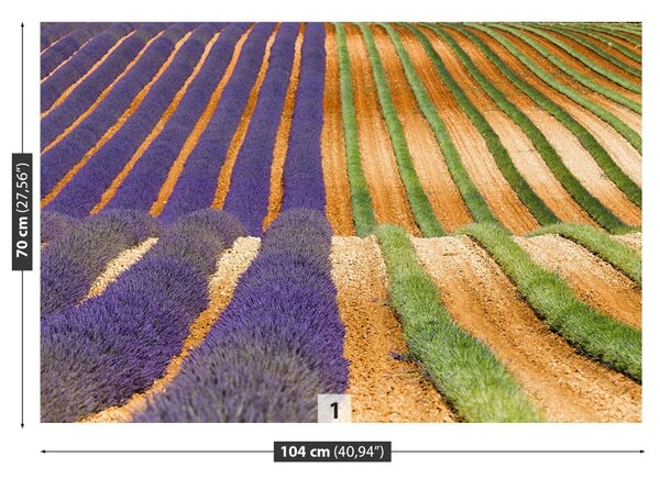 Fototapet Provence Franța