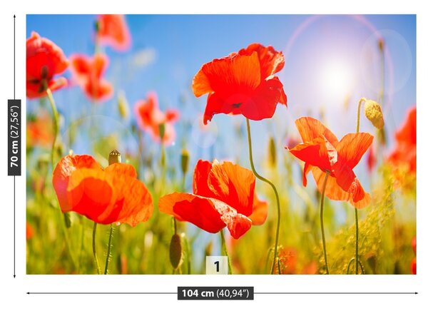 Fototapet Red Maci