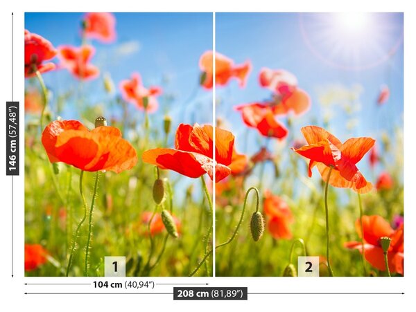 Fototapet Red Maci