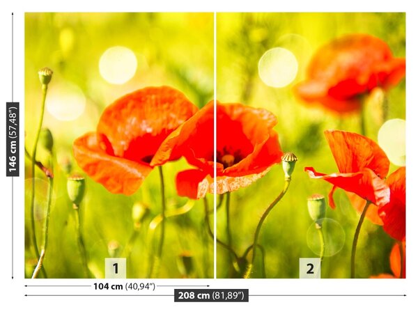 Fototapet maci Meadow