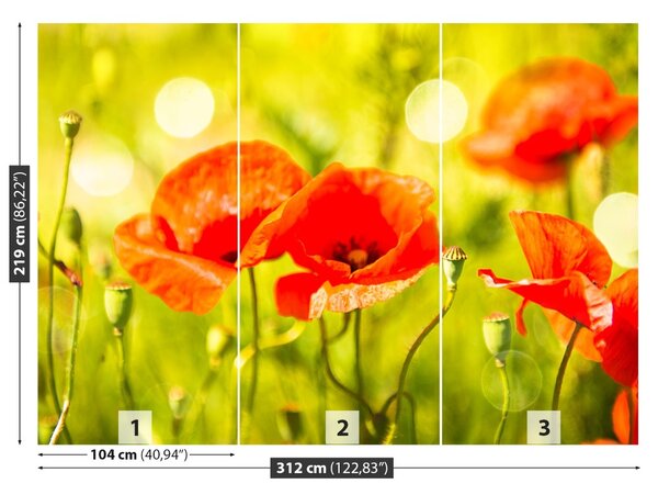 Fototapet maci Meadow