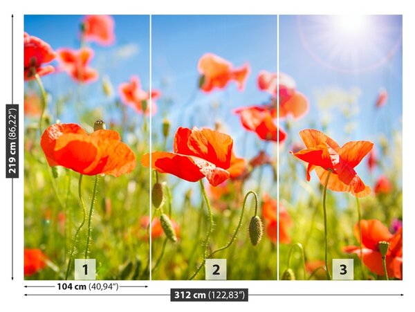 Fototapet Red Maci