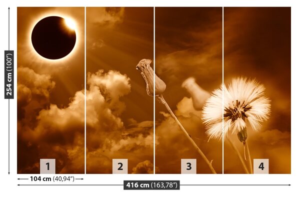 Fototapet Păpădie Sun