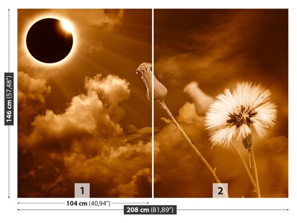 Fototapet Păpădie Sun