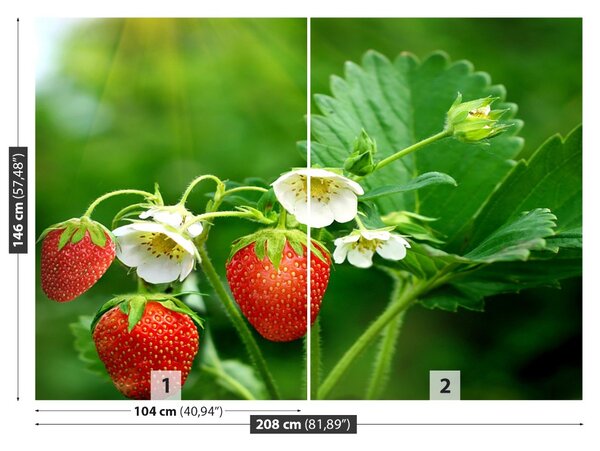 Fototapet Green Strawberry