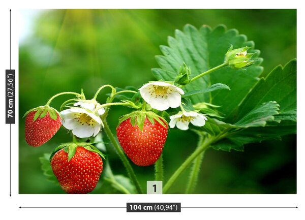 Fototapet Green Strawberry