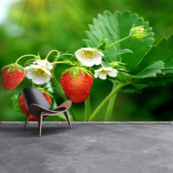 Fototapet Green Strawberry