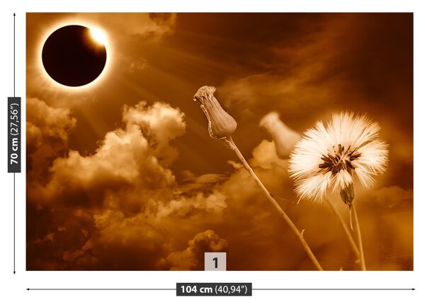 Fototapet Păpădie Sun