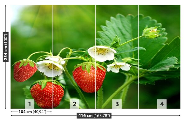 Fototapet Green Strawberry