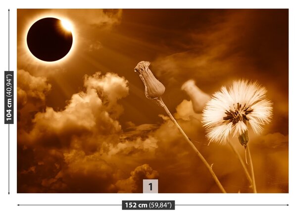 Fototapet Păpădie Sun
