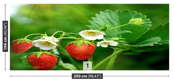 Fototapet Green Strawberry