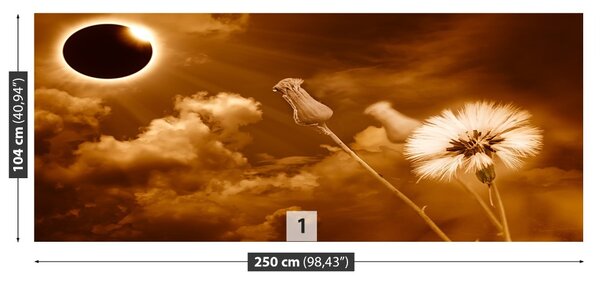 Fototapet Păpădie Sun