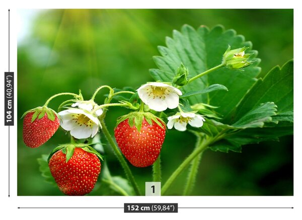 Fototapet Green Strawberry