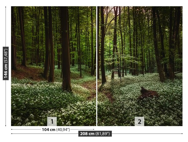 Fototapet Spring Forest