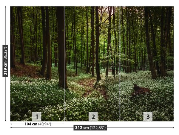 Fototapet Spring Forest