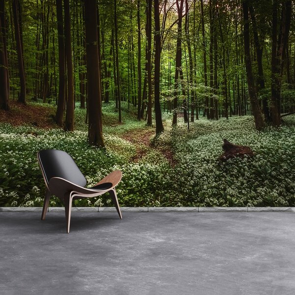 Fototapet Spring Forest