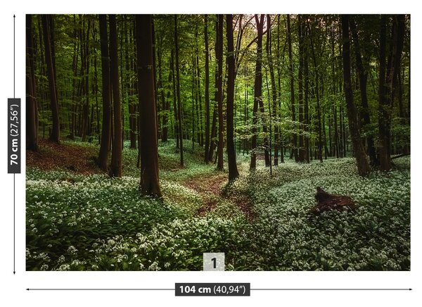 Fototapet Spring Forest