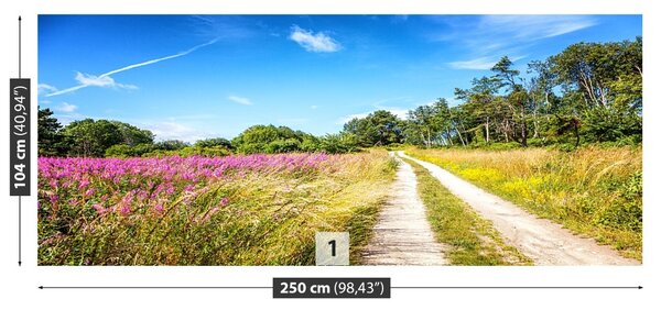 Fototapet înflorirea Meadow