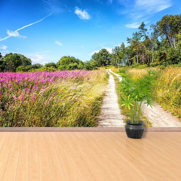 Fototapet înflorirea Meadow