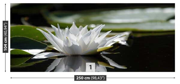 Fototapet Lotus alb