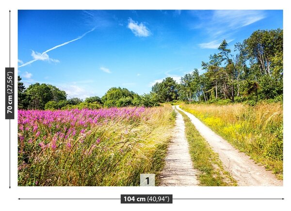 Fototapet înflorirea Meadow