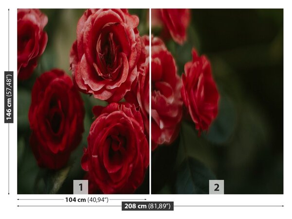 Fototapet Vintage Roses